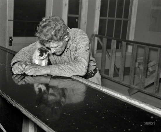 Photo showing: Purr Me Another -- September 1937. Lumberjack at the bar on Saturday night. Craigville, Minnesota.