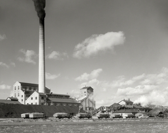 Photo showing: Sugar, Inc. -- October 1937. Sugar beet factory with trucks lined up waiting to be unloaded. East Grand Forks, Minnesota.