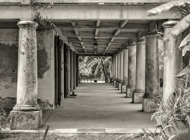 Photo showing: Banana Veranda -- September 1938. Verandah of plantation house near New Orleans, Louisiana.