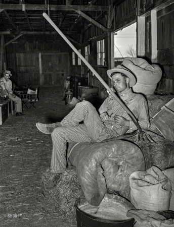 Photo showing: Pinstripe Cowboy -- March 1940. Cowboy resting on hay and rolled-up camp bed in the barn at the San Angelo Fat Stock Show.