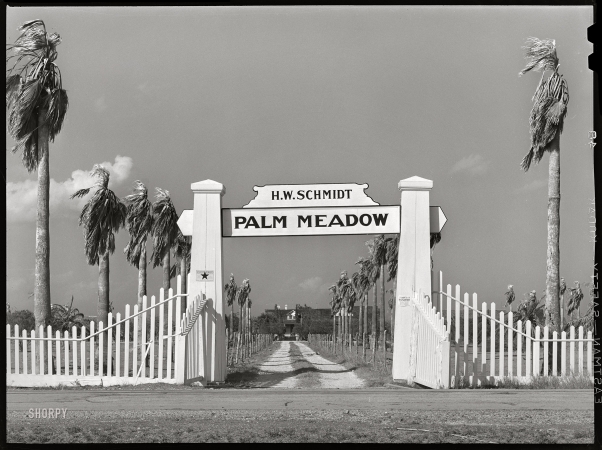 Photo showing: Palm Meadow -- March 1940. Entrance to farm in San Patricio County, Texas.