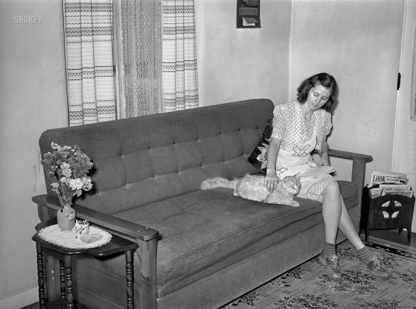 Photo showing: Kitty Corner -- May 1940. Wife of member of Casa Grande Valley Farms
in corner of their living room. Pinal County, Arizona.