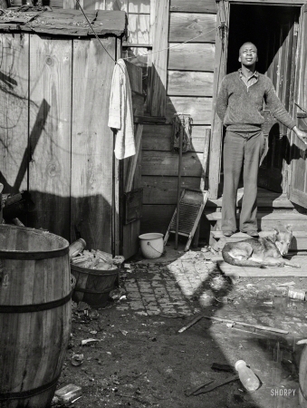 Photo showing: Behind the Scenes -- November 1935. Backyard in Northwest Washington, D.C.