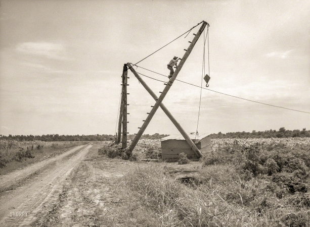 Photo showing: Canefield Nine -- June 1936. Derrick, characteristic sight in Louisiana cane field.
Used to transfer cane from wagons to trucks for transportation to sugar mills.