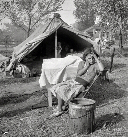 Photo showing: Valley Girl -- November 1936. Children and home of cotton workers at migratory camp in southern San Joaquin Valley, California.