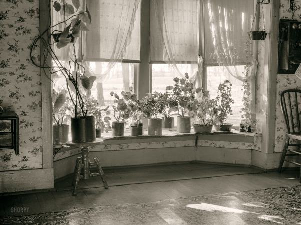 Photo showing: Rancho Geranium -- November 1936. Window of farmhouse living room. Mercer County, Illinois.