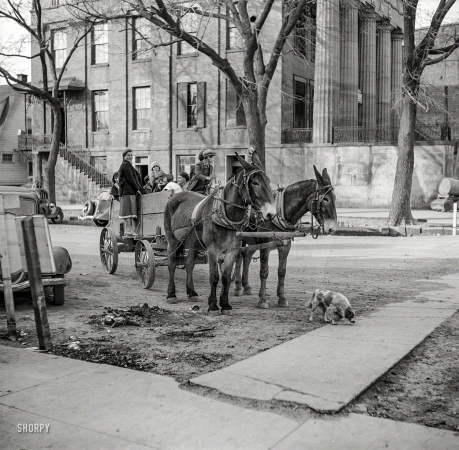 Photo showing: Family Cart -- April 1937. Scene in Shawneetown, Illinois.