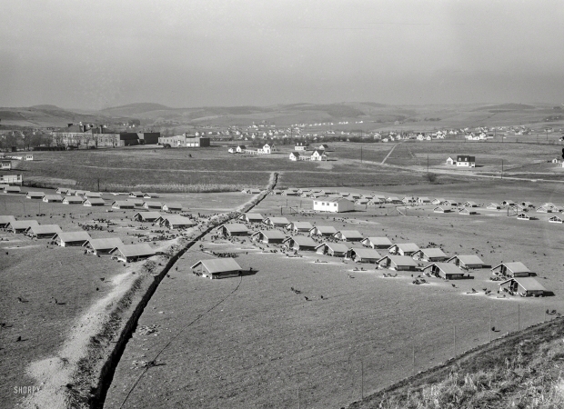 Photo showing: Chickenville -- November 1936. The chicken range at Westmoreland Homesteads, Penn­sylvania.