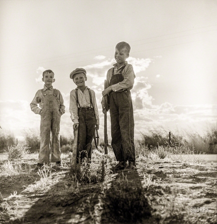 Photo showing: California Boys -- November 1938. Children of [Dust Bowl] refugee families now on Works Progress
Administration. They live in tents on the flats outside of Bakersfield, California.
