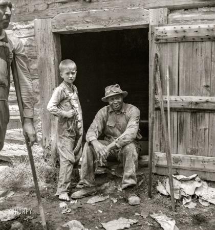 Photo showing: Granville County -- July 1939. Granville County, North Carolina. Tobacco people
take it easy after their morning's work 'putting up' tobacco.