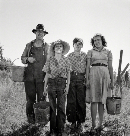 Photo showing: In the Beans -- August 1939. Marion County, Oregon. Family came from Albany, Oregon, for a season's work in the beans.