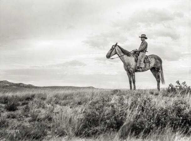 Photo showing: Big Sky -- June 1939. Cowboy at Quarter Circle U roundup, Big Horn County, Montana.