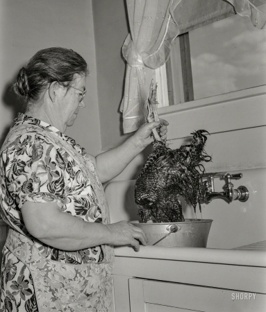 Photo showing: Farm to Table -- October 1939. Greeley, Colorado. Mrs. Milton Robinson, wife of
Farm Security Administration borrower, in the kitchen of her farm home.