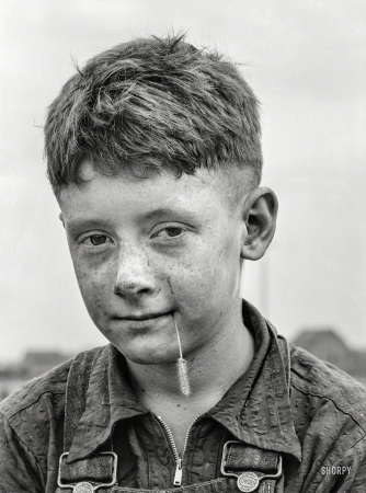 Photo showing: Cow Boy. -- September 1939. Son of dairy farmer. Dakota County, Minnesota.