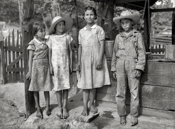 Photo showing: Mostly White -- June 1936.  'Griffin children' of west Alabama. They are mostly white ... 