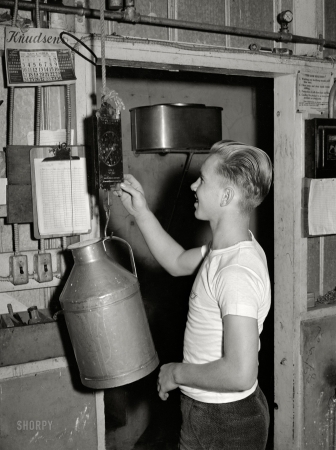 Photo showing: Heavy Cream. -- November 1940. Tulare County, California. Son of worker weighing up milk at Mineral King cooperative farm.