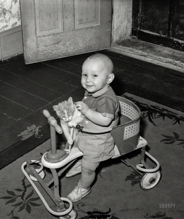 Photo showing: Cat Patrol -- November 1940. Son of Mormon farmer. Santa Clara, Utah.