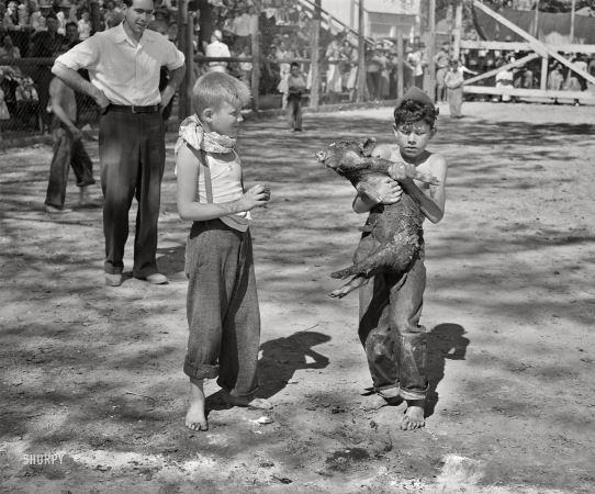 Photo showing: My Little Piggy -- 1941. Boy who caught the greased pig at the Fourth of July celebration in Vale, Oregon.