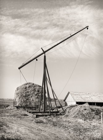 Photo showing: Idaho Hay -- June 1941. Hay stacker and haystack on farm of member of the
Dairymen's Cooperative Creamery. Caldwell, Canyon County, Idaho.