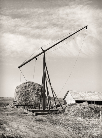 Photo showing: Idaho Hay -- June 1941. Hay stacker and haystack on farm of member of the
Dairymen's Cooperative Creamery. Caldwell, Canyon County, Idaho.