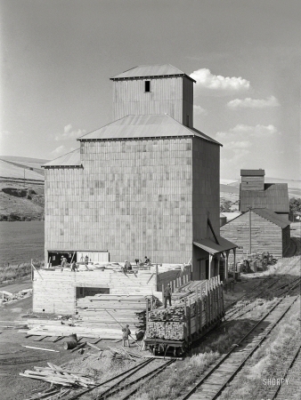 Photo showing: Bumper Crop -- July 1941. Adding new storage space to wheat elevator at Dayton, Washington.