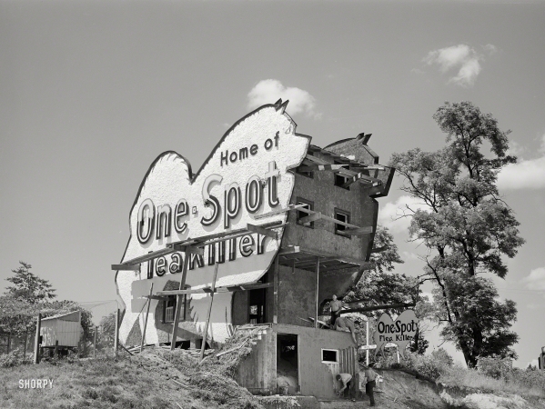 Photo showing: House of Fleas -- June 1940. One-spot town along U.S. Highway No. 1, between Washington and Baltimore.