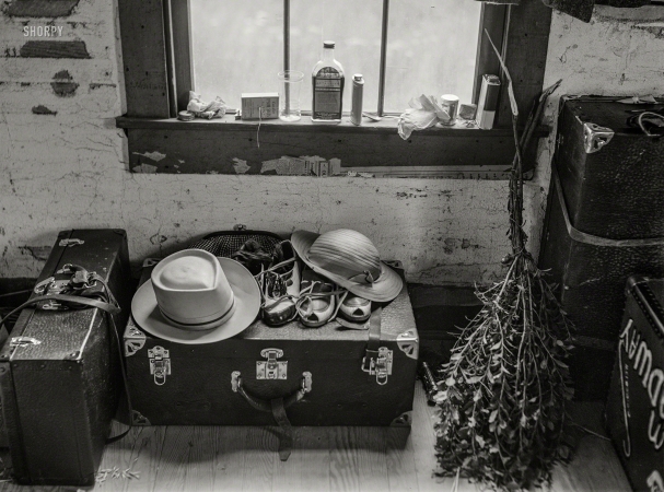 Photo showing: Harvest Home -- July 1940. In the new home of a group of agricultural migrants from Florida just arrived at Onley, Virginia.