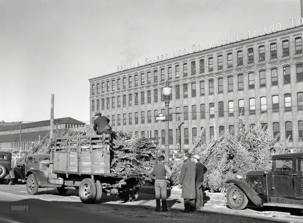 Photo showing: Seasonal Greens -- December 1940. Christmas trees for sale at the market. Providence, Rhode Island.