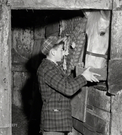 Photo showing: Box Lunch -- January 1941. Andover, Mass. One of the sons of Anthony Forgetta,
Italian vegetable farmer, feeding the horse after coming home from school.