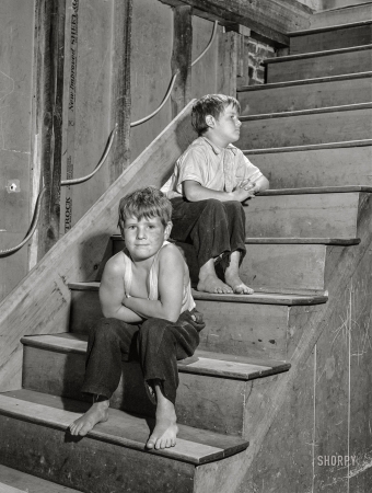 Photo showing: Step Sons -- August 1941. Two of the children of Warren Franklin, FSA client of Guilford, Vermont.