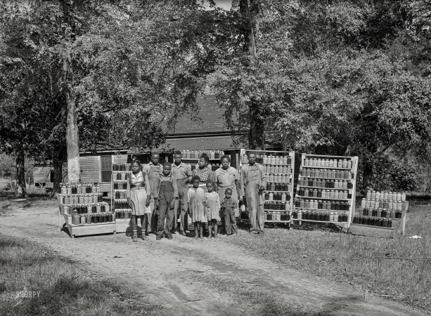 Photo showing: All the Jars -- October 1941. Greene County, Georgia. Canned goods made by Doc and Julia Miller, Farm Security
Administration clients with 1,000 jars of fruit, vegetables, etc. they have put up for the winter.