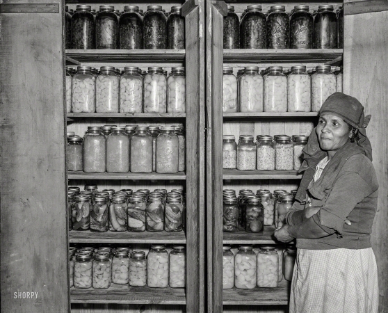 Photo showing: Pantry Pride -- November 1941. Mrs. Buck Grant, Farm Security Administration client,
with her canned goods. Near Woodville, Greene County, Georgia.