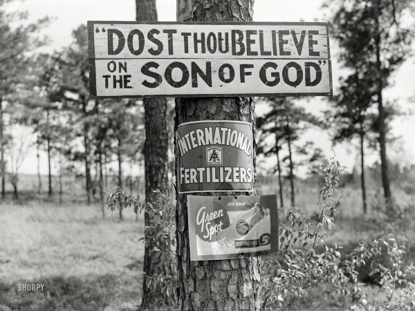 Photo showing: Top Billing -- April 1939. Greene County, Georgia. Signs on tree along highway.