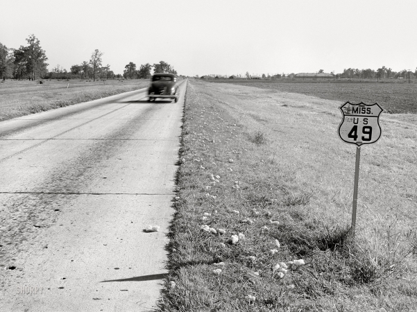 Photo showing: Fallen Fiber -- November 1939. Cotton fallen from wagons on way to
gin along main highway. Mississippi Delta near Clarksdale.