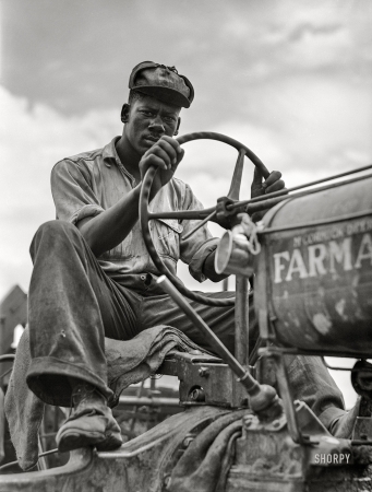 Photo showing: Delta Thresher -- June 1940. La Delta Project. Driver of combine threshing oats. Thomastown, Louisiana.