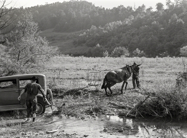 Photo showing: Gas Backward -- September 1940. Mountaineers trying to pull school superintendent's car
out of the creek with a mule. South Fork of the Kentucky River. Breathitt County.