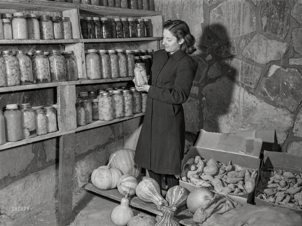 Photo showing: The Ball Jar -- November 1940. S.H. Castle's vegetables and canned goods raised on his farm in his new storage house.
