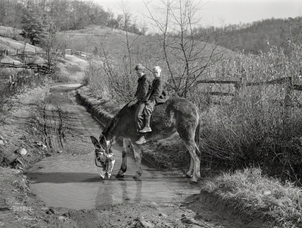 Photo showing: Duts Kids -- November 1940. Two of Dutton ('Dut') Calleb's sons watering the mule.
Southern Appalachian Project near Barbourville, Knox County, Kentucky.