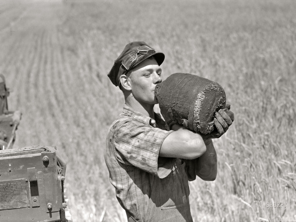 Photo showing: Wheat Whacker -- August 1941. Froid, Montana. Scandinavian combine driver on the Schnitzler Corporation ranch.