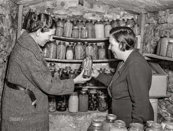 Photo showing: Girl Cave -- November 1940. Home supervisor examining canned goods of
FSA rehabilitation borrower in food storage cave. Labette County, Kansas.