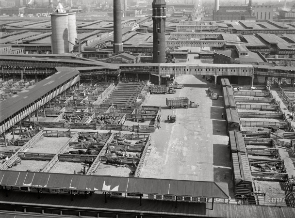 Photo showing: Union Stockyards -- Chicago, July 1941.