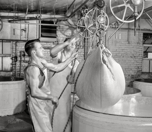 Photo showing: Cheeseballs -- July 1941. Removing the curd from the whey. Swiss cheese factory in Madison, Wisconsin.