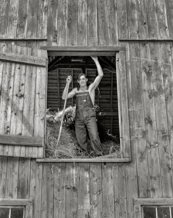 Photo showing: Straw Man -- July 1941. Loading hay into barn. Son of FSA borrower who moved
from Nebraska drought area three years ago to Douglas County, Wisconsin.
