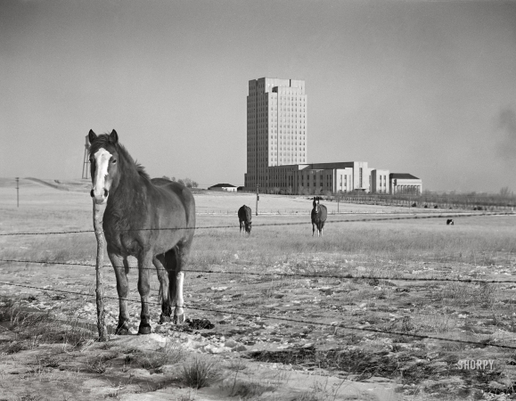 Photo showing: Apolitical Animal -- February 1942. Bismarck, North Dakota. State capitol.