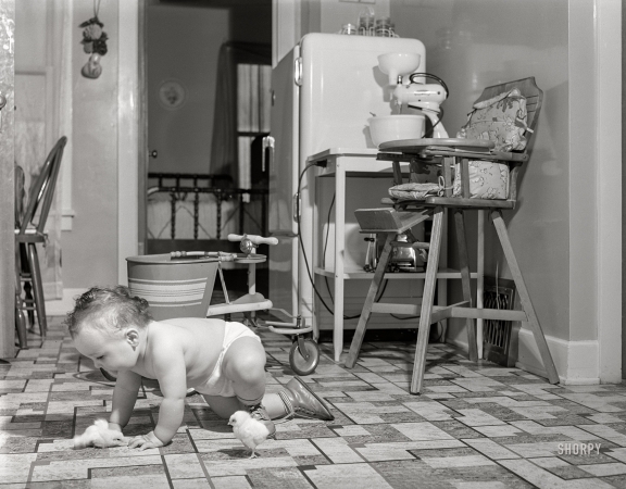 Photo showing: Pops Peeps -- April 1942. Hamilton, Montana. Son of Ted Barkhoefer, crawling on the kitchen floor.
