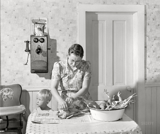 Photo showing: Chicken Dinner -- May 1942. Lancaster County, Nebraska. Mrs. Lynn May, FSA borrower, cleaning a chicken.