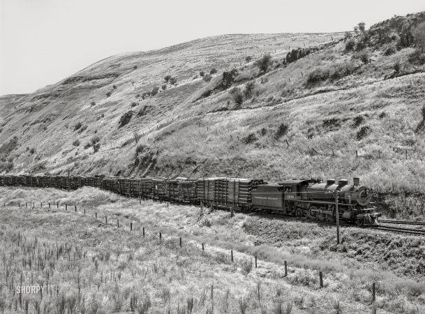 Photo showing: Trunk Line. -- July 1941. Logging train. Spalding Junction, Nez Perce County, Idaho.