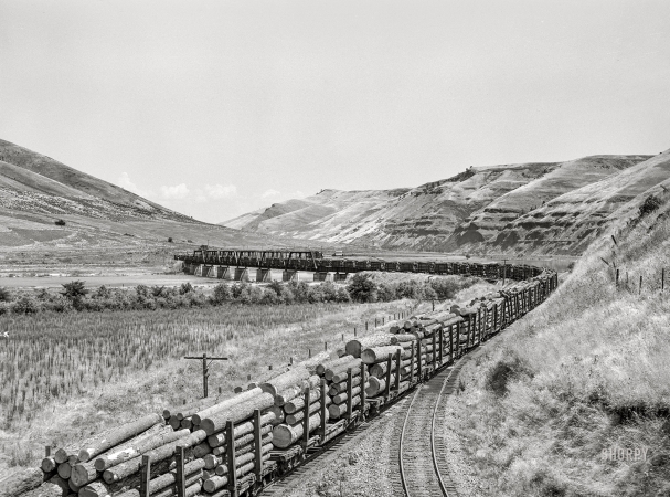Photo showing: Log Train Running -- July 1941. Logging train. Spalding Junction, Nez Perce County, Idaho.