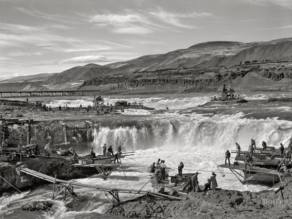 Photo showing: Native Fishers -- September 1941. Indians fishing for salmon at Celilo Falls, Oregon.