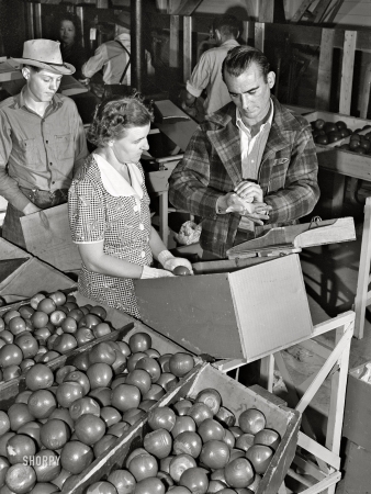 Photo showing: The Apple Wrappers -- September 1941. Yakima, Washington. Instructor demonstrates proper
method of wrapping apple at apple packing school at migratory labor camp.